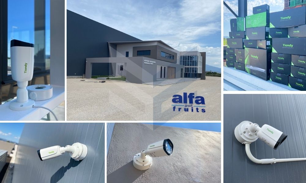 Αγροτικός Συνεταιρισμός Alfa Fruits